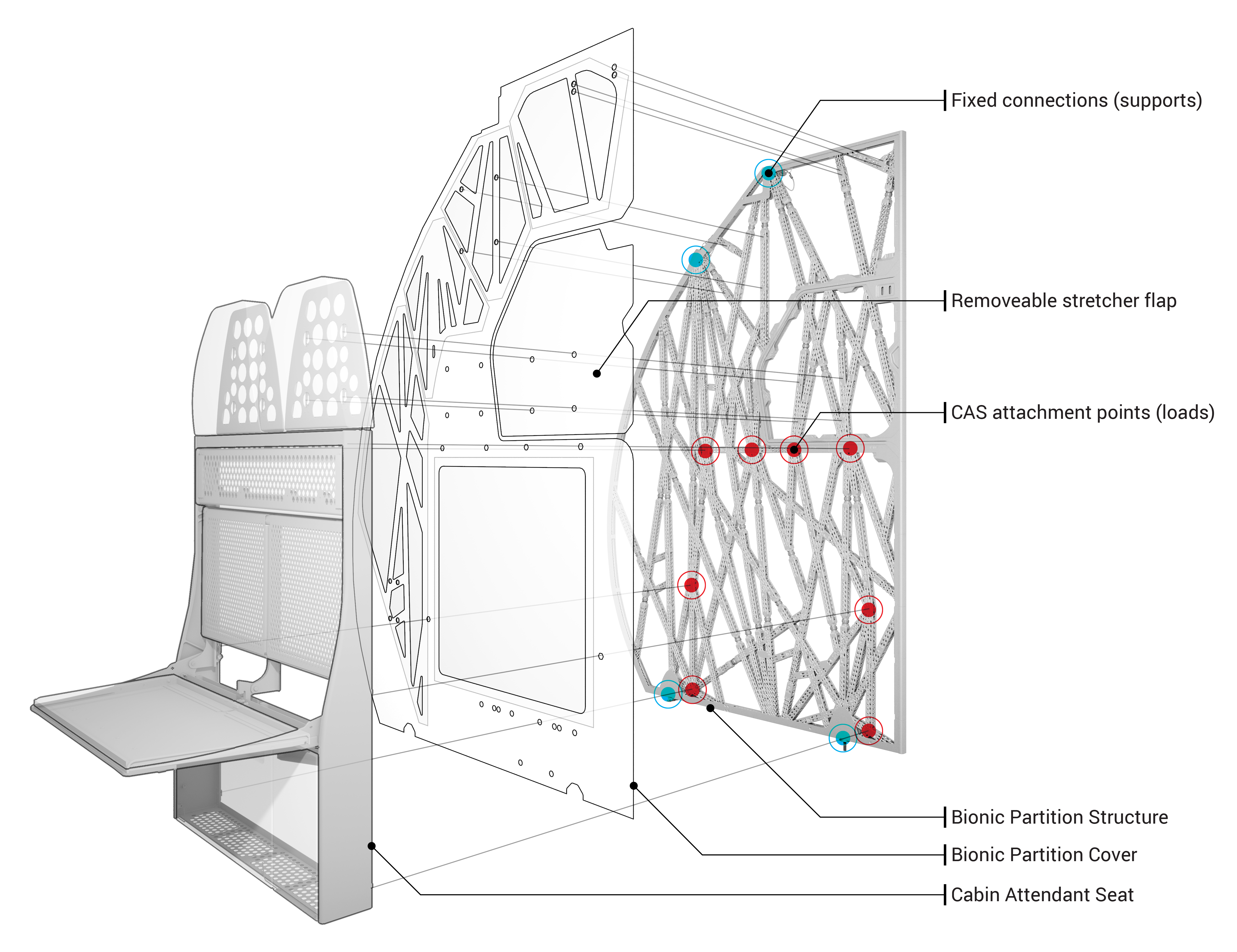 bionic partition